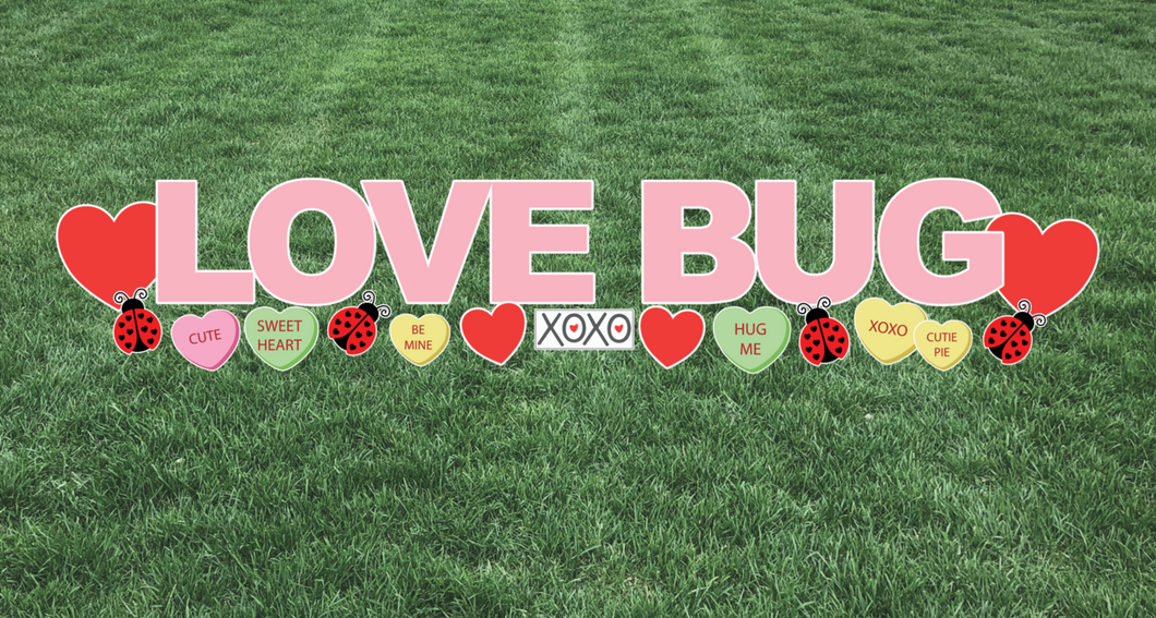 LOVE BUG- Valentine Special Rental - Only Available February 14th